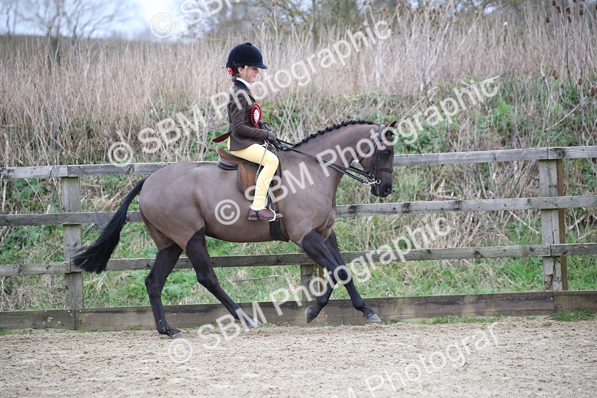 SBM_004812 - Class 5-9 - NPS In Hand-Show Hunter-Intermediate Ridden Inc Ridden Championship
