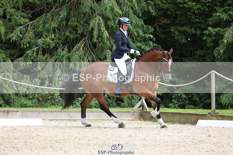 230812-151225-05077 - Cls 5 Novice Bronze 15.00 to End