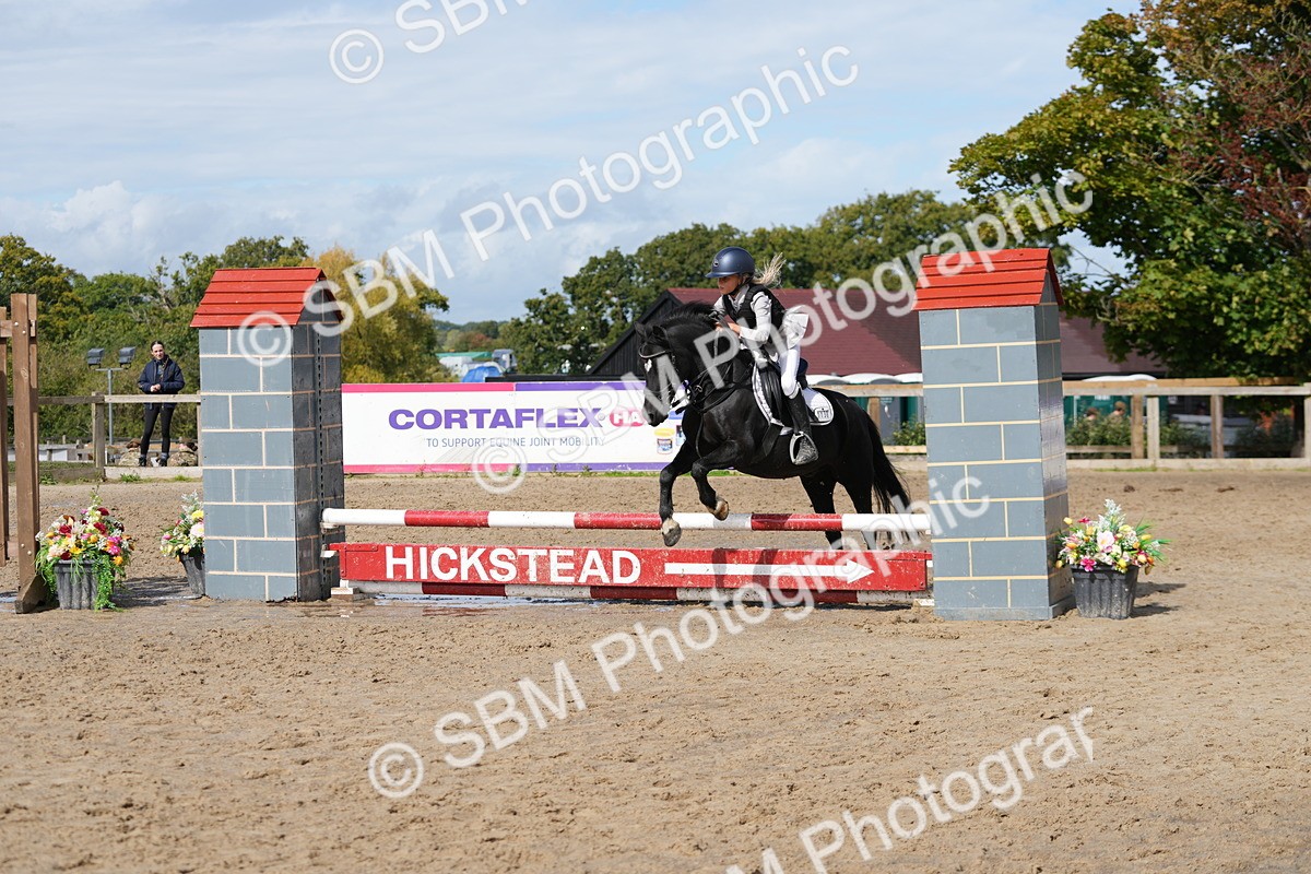 SBM_40768 - Supreme Championship Pony 50-55cm