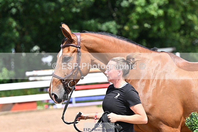 240718A-105317-01807 - Trot Up 1pm to 2pm