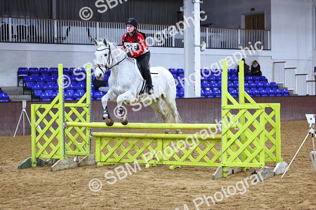 SBM_002532 - Class 6 - Holly & Ivy Stakes - 90cm