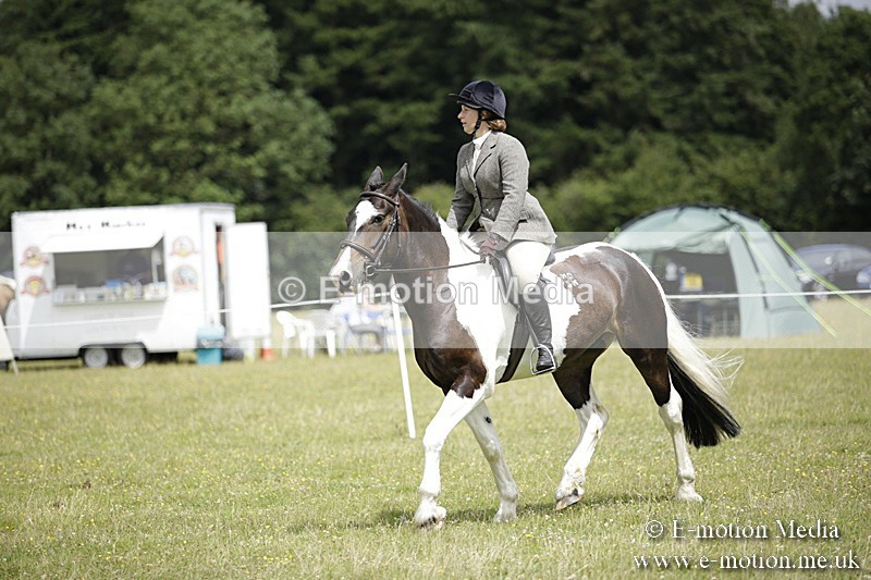 BVR160717-1904 - Ring 1 BVRC Show 16/07/17