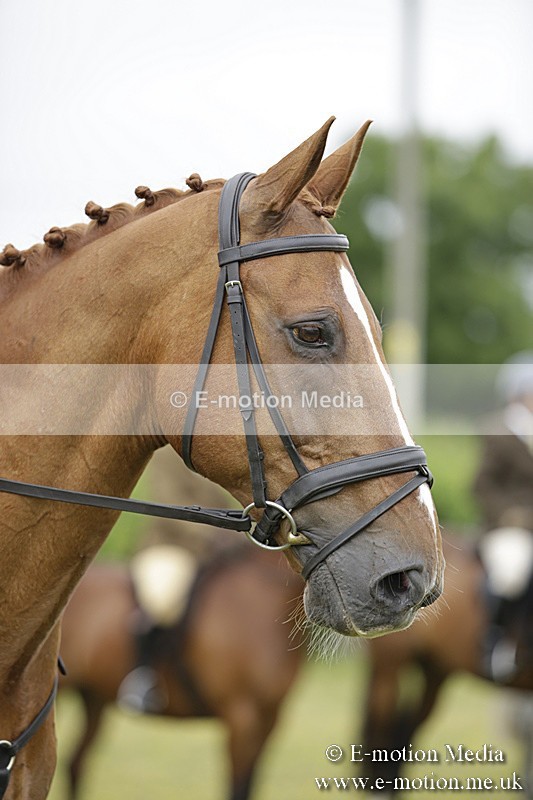 BVR160717-818 - Ring 1 BVRC Show 16/07/17