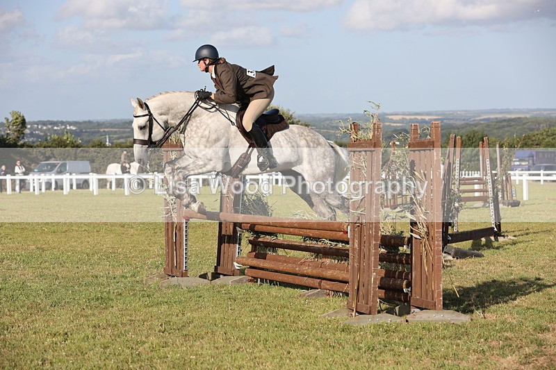 JPP_3411 - Class 22: Working Hunter 90cm