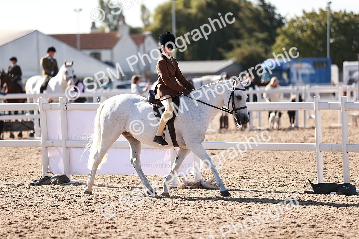 SBM_12456 - Class 403 - Grassroots Ridden - Junior