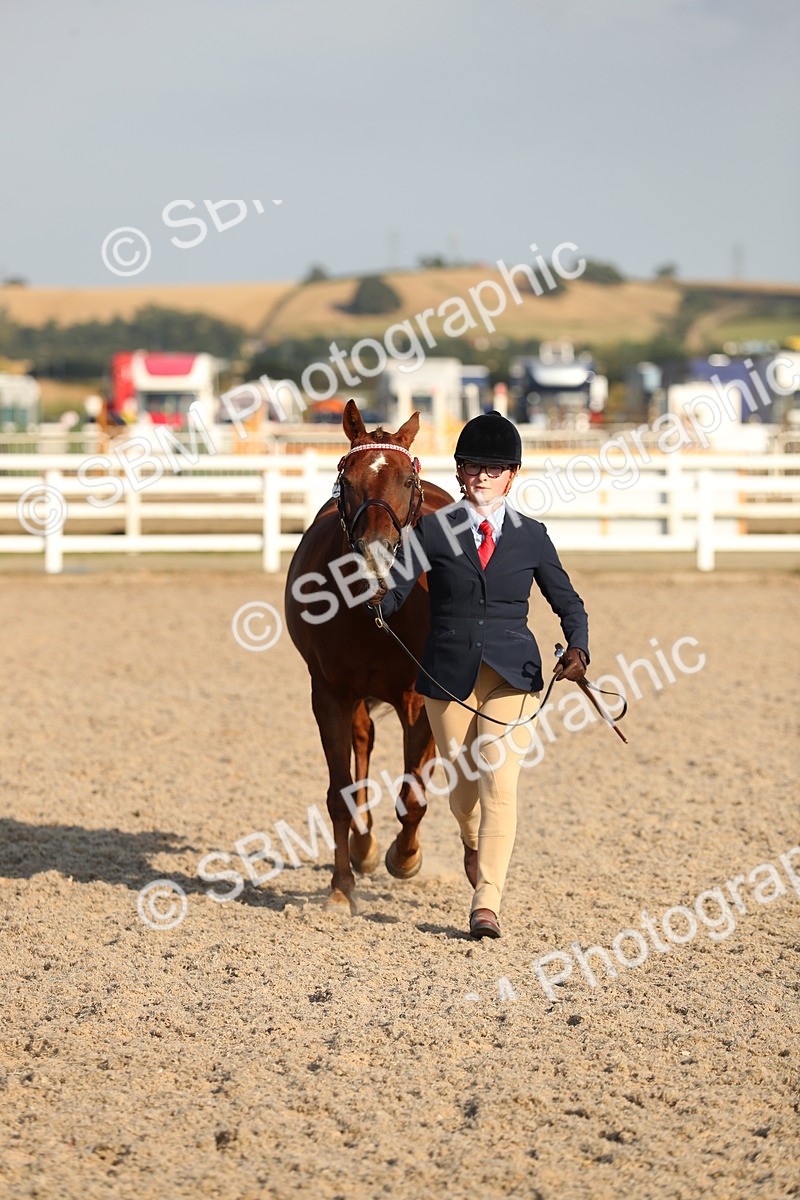 SBM_08977 - Class 29 IH Veteran Pony