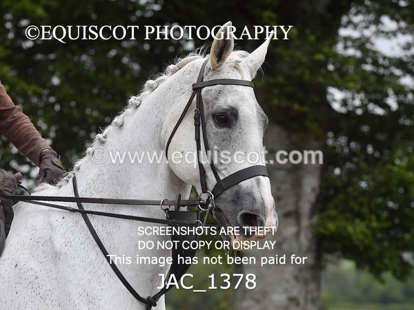 JAC_1378 - CLASS 9 BHS Scotland Riding Club Working Hunter Qualifier (1.00m)