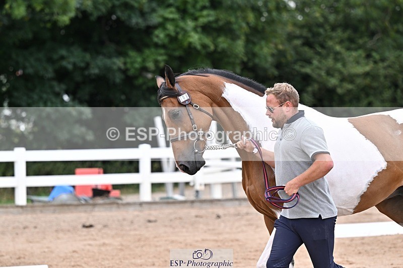 250716-134333-00662 - Trot Up 1.30 to 2.30