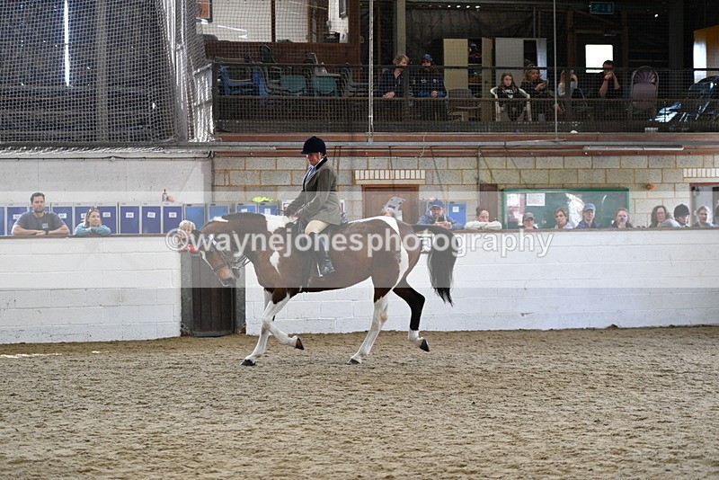 WJ5_6064 - Class 9 Ridden Veteran