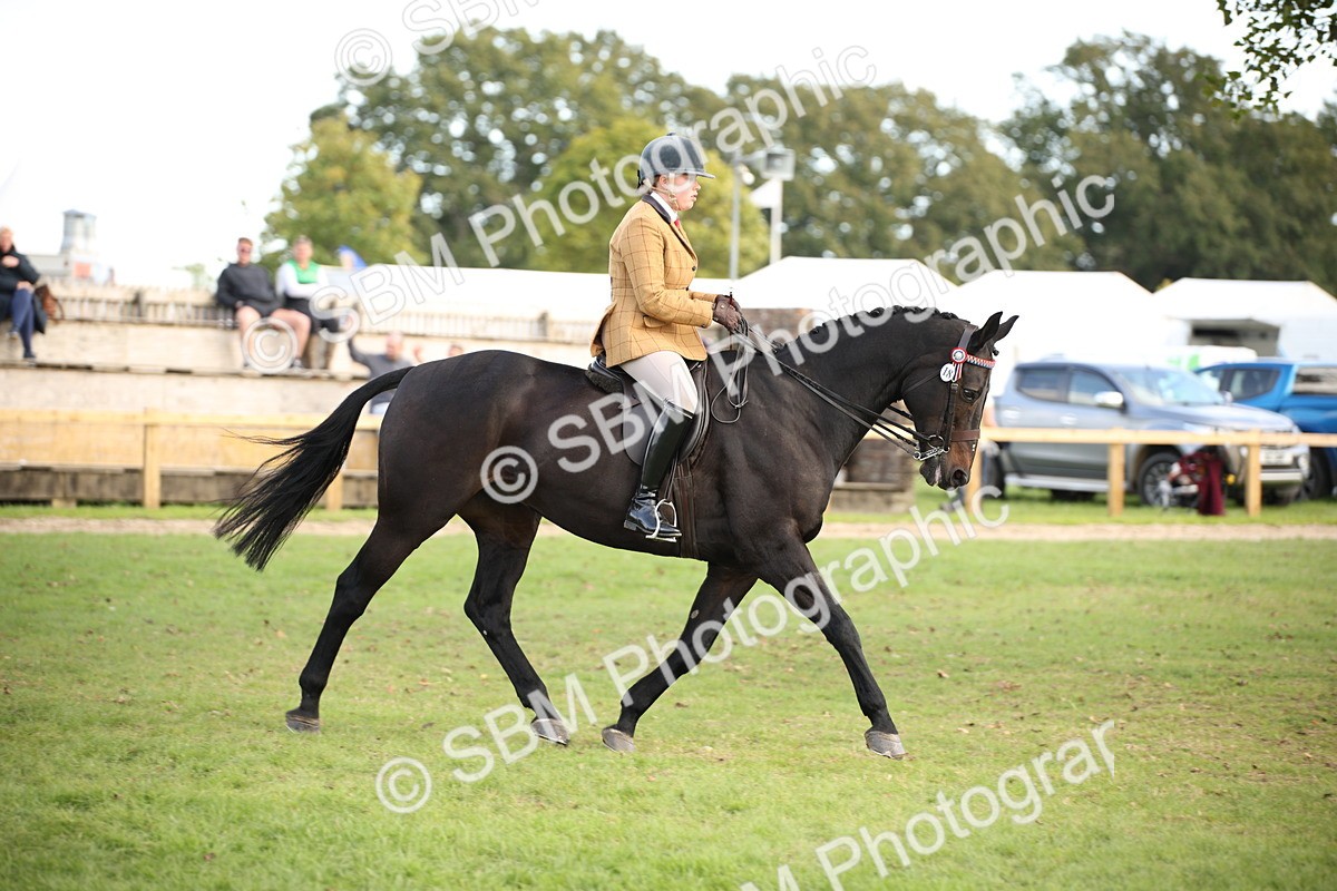 SBM_50227 - S26 - Young Veteran - Ridden