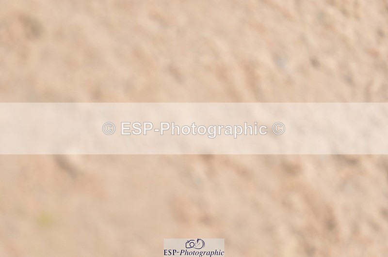 240403A-155108-01042 - Cls 5 Foxhunter and 1.20m Open