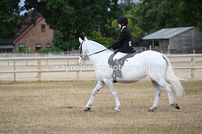 WJ6_7378 - Class 9 Tack and Turnout