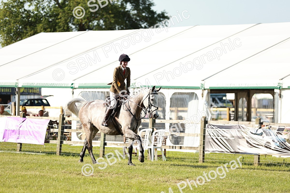 SBM_20063 - Class 115-116 - LIHS BSHA Rising Star Working Hunter & Show Horse