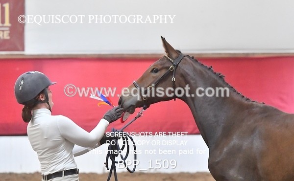 BPP_1509 - MORNING 9AM - 12PM