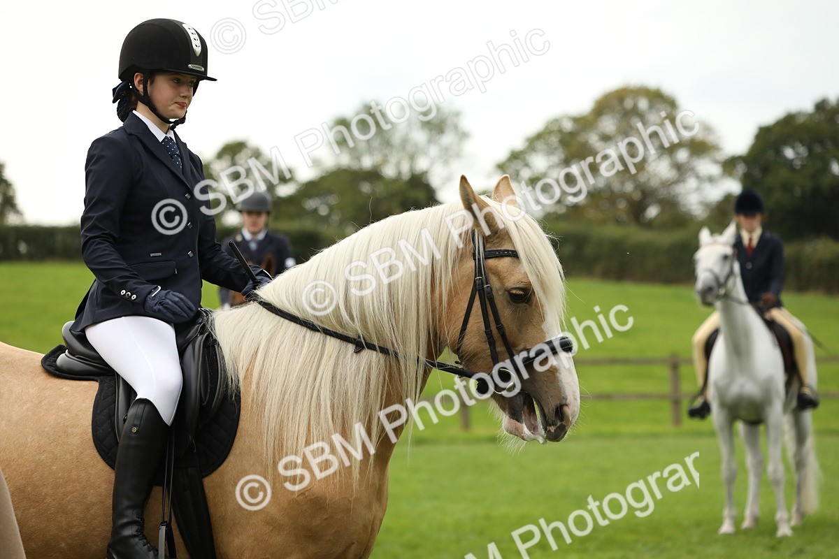 SBM_73706 - S41 - Ridden Equitation (Best Rider)