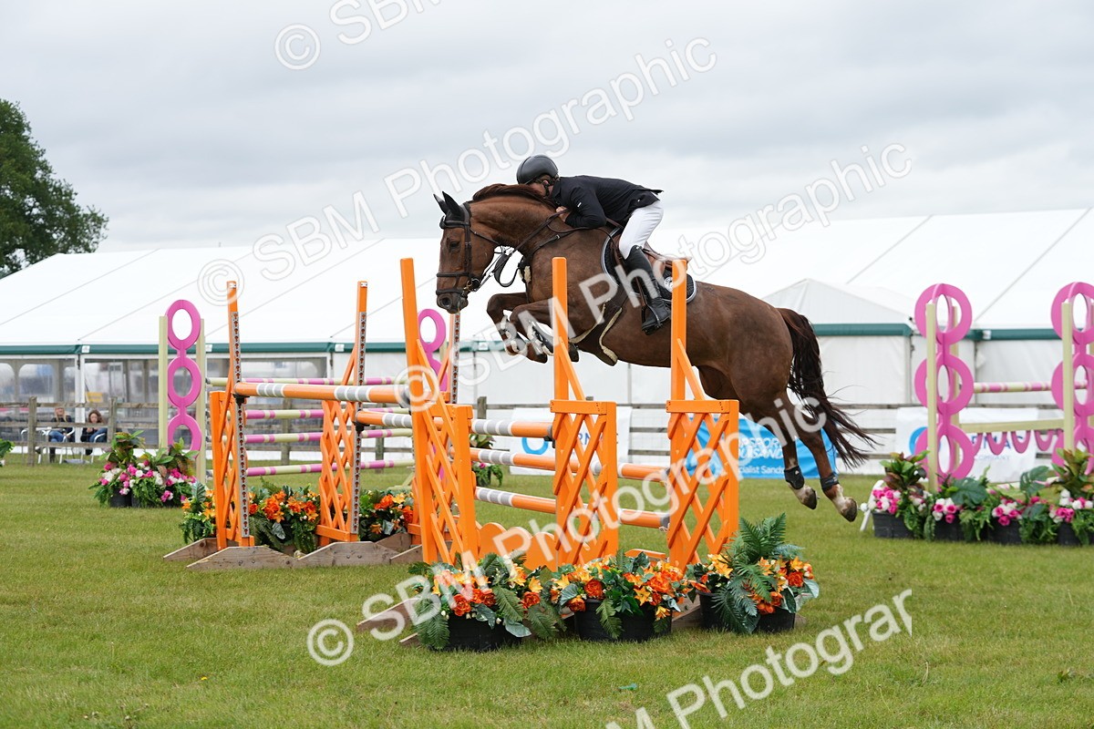 SBM_03441 - Class 201 - British Horse Feeds Speedi Beet Horse of the Year Show Grade  C
