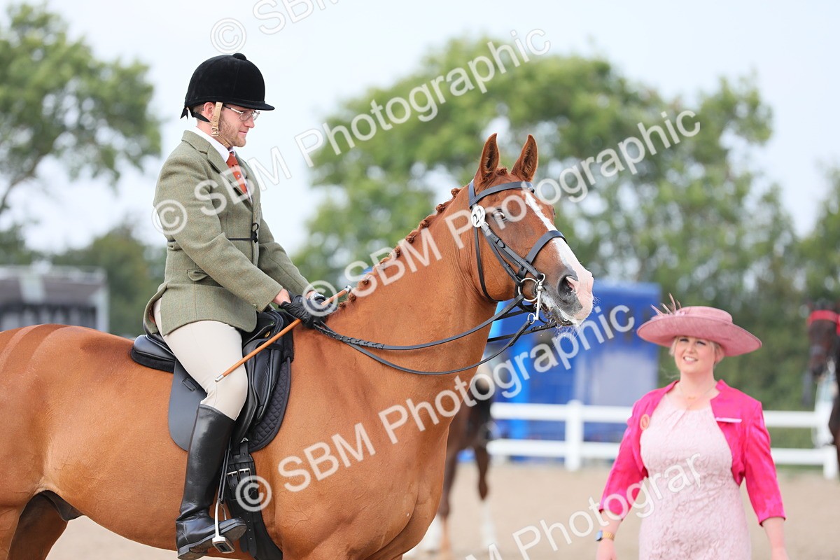 SBM_11434 - Class 305 Ridden Foreign Breeds- Pure Bred