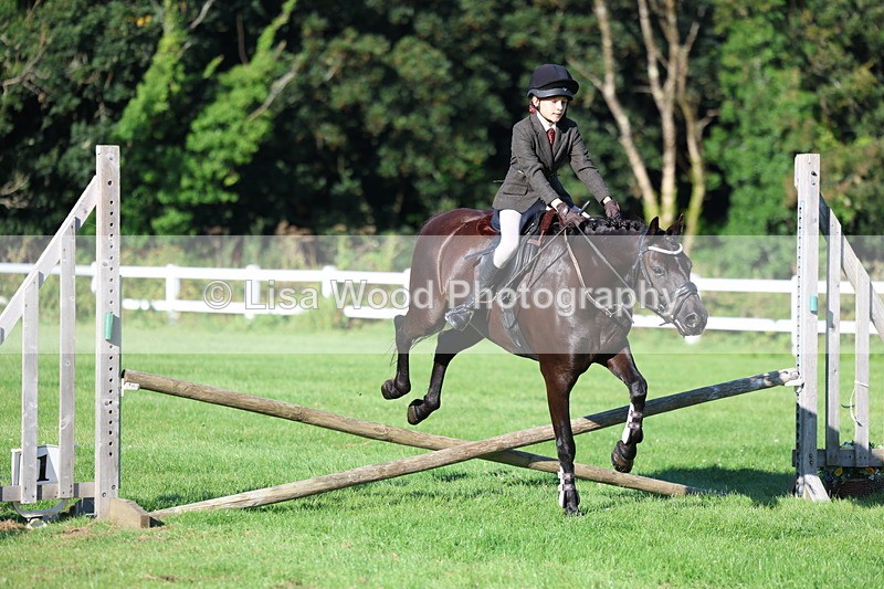 3E7A7474 - Class 1: Novice Working Hunter Pony