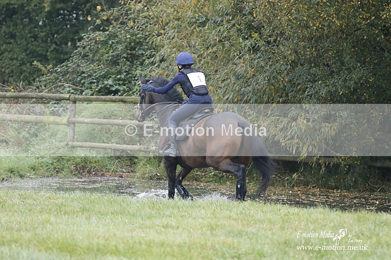 WWHT 171021 0266 - Novice Restricted (0.80m)  17/10/21