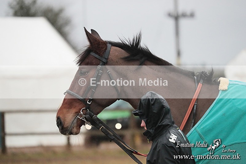 PtP 260125 961 - Cocklebarrow Point-to-Point racing with the Heythrop Hunt 26/01/25