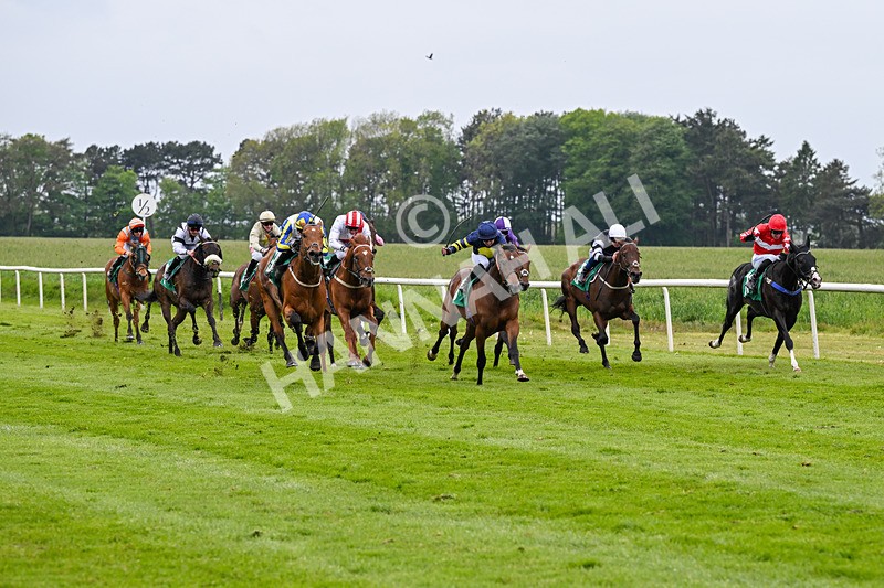160526-Race 6-Empire Of Light-9962 - Race 6 4.47pm Sky Bet Club Handicap