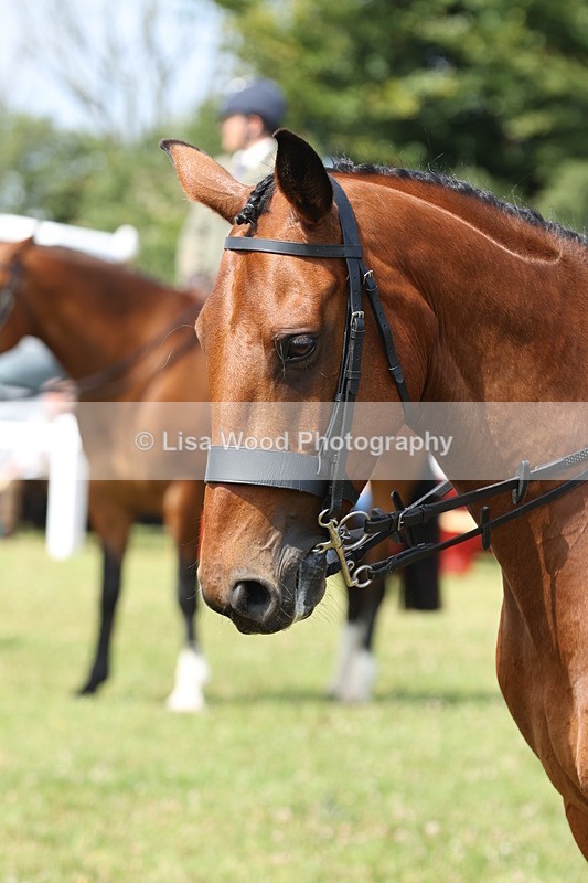 JPP_1338 - Class 17: Cornish Combination Open