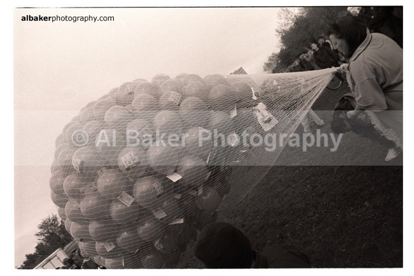 842 - Hulme Gallery (d)
