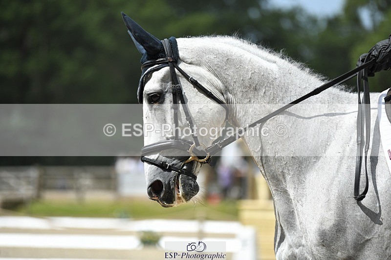 230525-113708-01867 - 102-BANDITO_VAN_POLDERZICHT-Grace_Taylor-WEDTrotUp+DR
