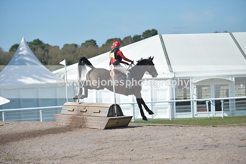 NGP_8953 - XC Time 13:52 to 14:13