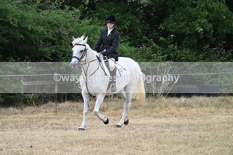 WJ7_0942 - Class 7 Riding Club Show Horse