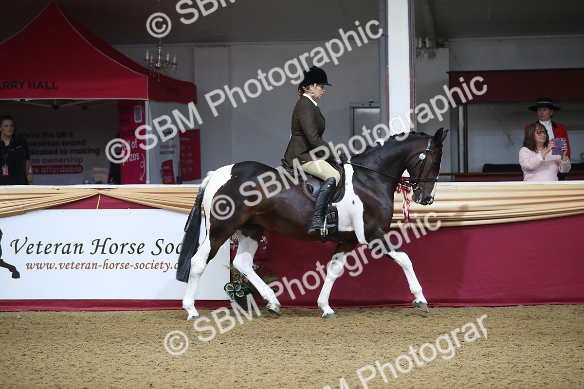 SBM_10341 - Class 102 Equitation (best rider) Adult