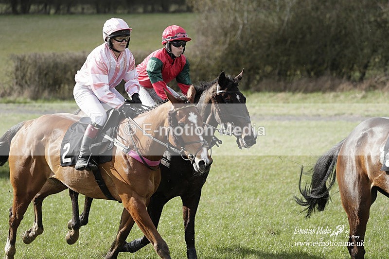 PtP 180323 690 - Shelfield Park Races with Croome & West Warwickshire Hunt  18/03/23
