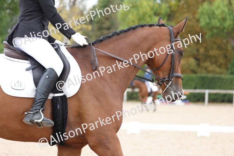 20250819-1271 - Class 4 - Novice 2