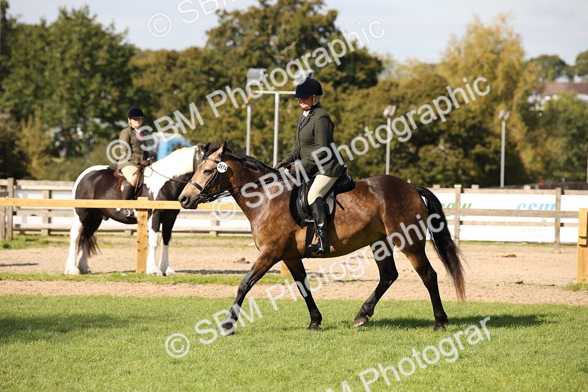 SBM_50078 - S26 - Young Veteran - Ridden