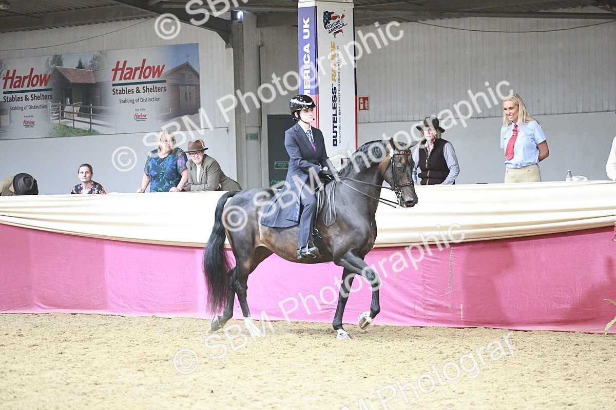 SBM_08787 - Class 12R - Regional Ridden Pre-Vet