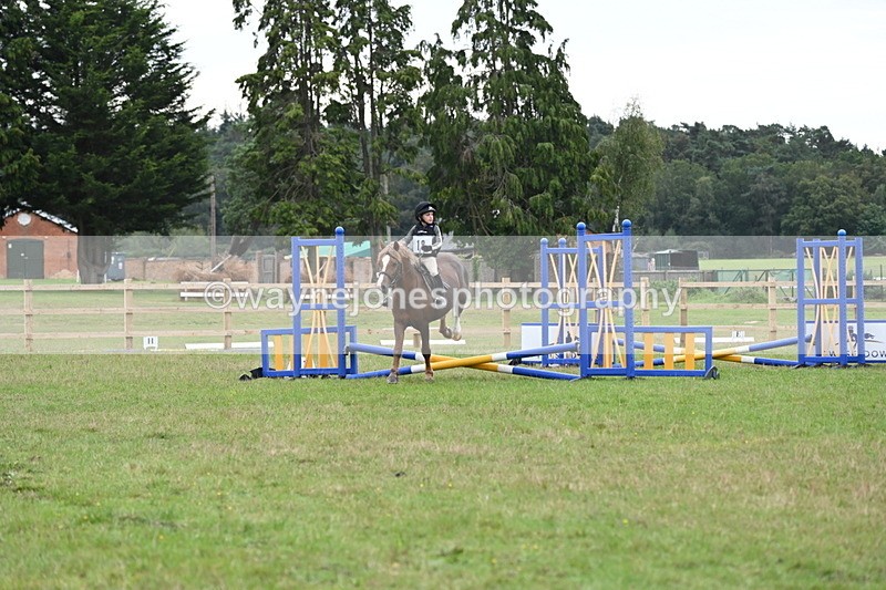 WJ6_0296 - 40cm Time 10:00 to 10:28