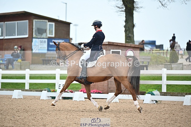 250214-113617-01376 - 156-Alexander.Harrison-Mount.St.John.Diamonds.Are.Forever