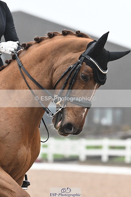 240217A-144333-03690 - 219-Jessica.Davies-Kadanz.II