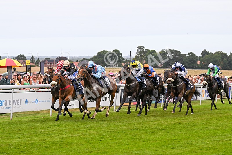 140824-Race 1-Lord Roxby-5781 - Race 1