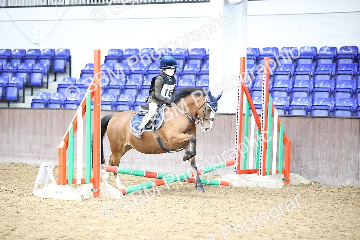 SBM_000267 - Class 2 - The Rug Lady 40cm Area 12 Championship Qualifier