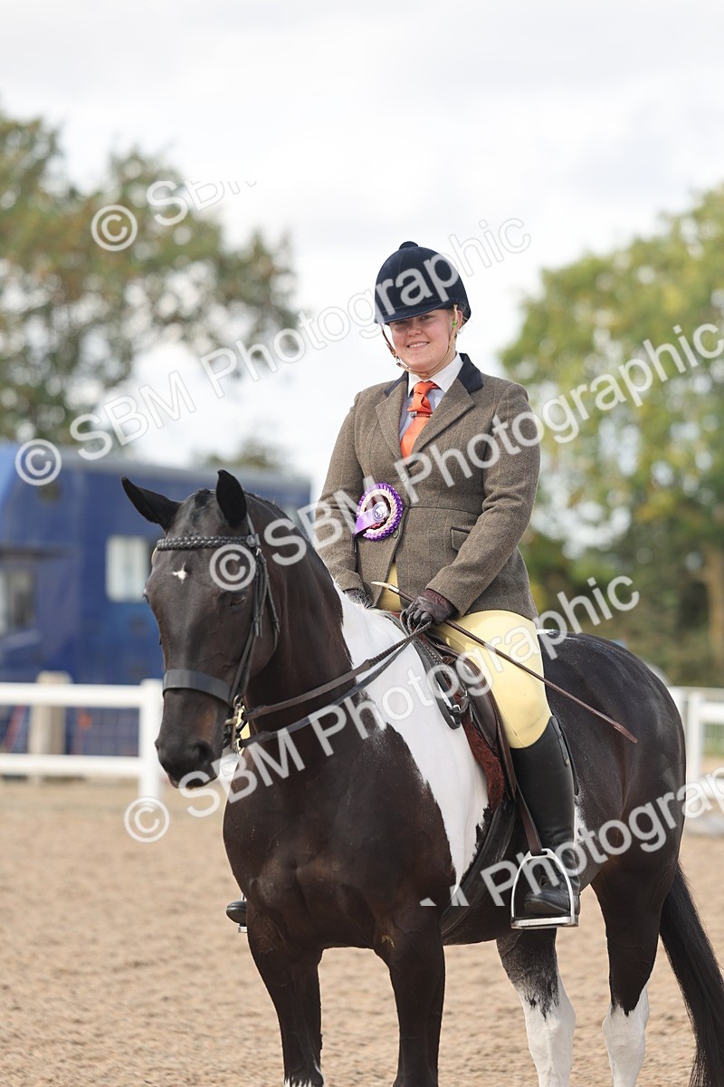 SBM_14864 - Class 308 - Ridden Coloured Horse