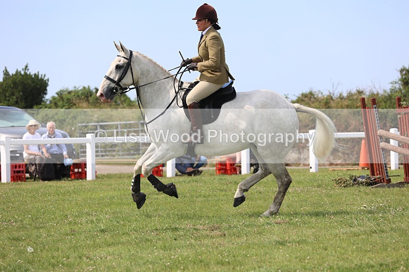 JPP_3666 - Class 23: Working Hunter 80cm