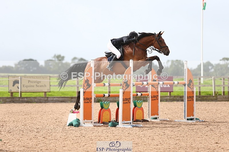 230812A-121207-08865 - Cls 32 Foxhunter