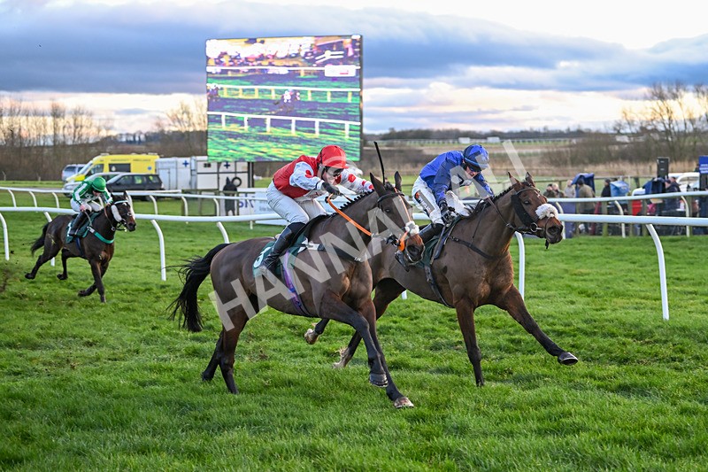 281224-Race 6-Achille Des Rocs-4973 - Race 6