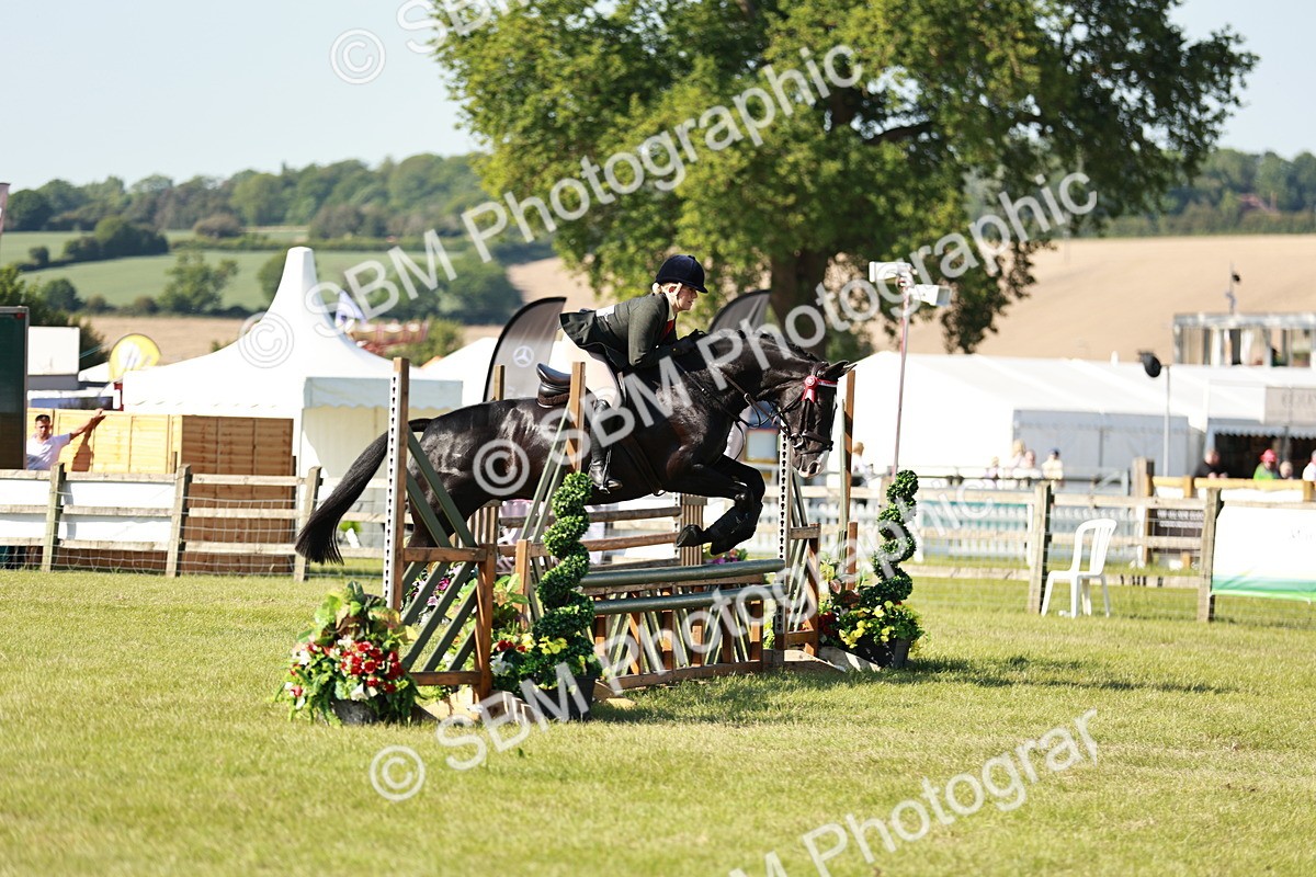 SBM_19184 - Class 115-116 - LIHS BSHA Rising Star Working Hunter & Show Horse