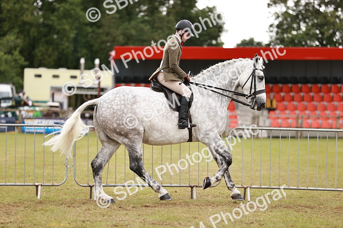SBM_10919 - Class 81-84 - RIHS Ridden hunters Inc Ladies Hunter