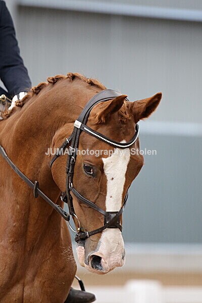 SIAL8443 - GDG Bogenraith Friday 26th Sept 2025