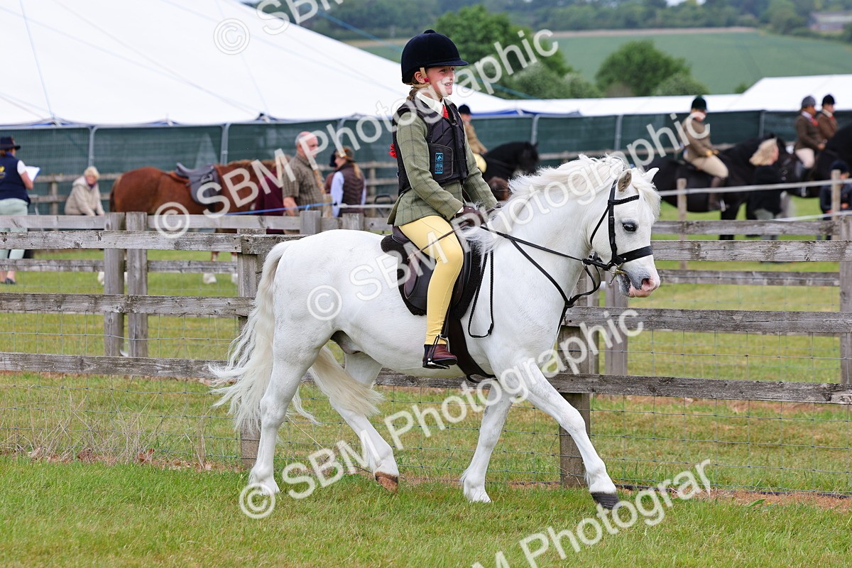 SBM_08523 - Class 42-43 - LIHS BSPS Heritage Working Sports Pony