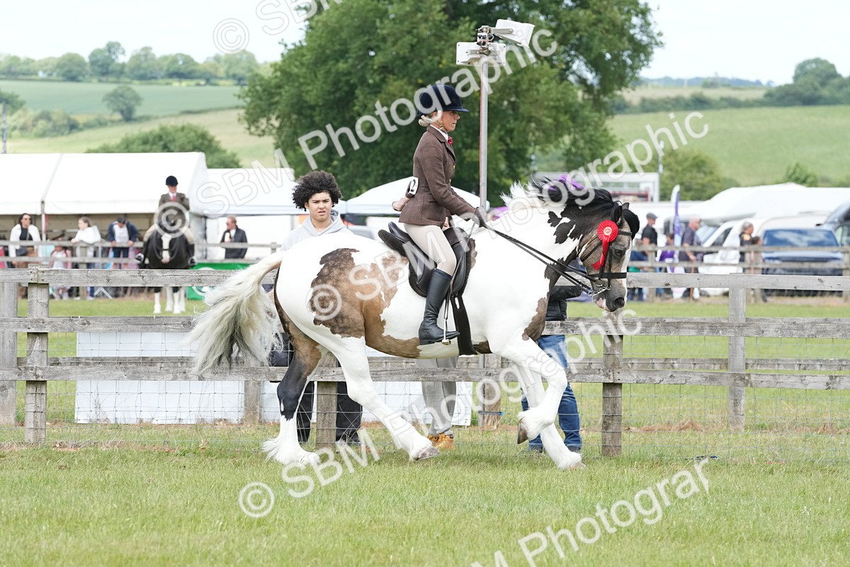 SBM_17655 - Class 107-108 - LIHS BSPS Performance Coloured Horse Pony