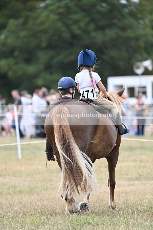 WJ7_4521 - Class 11 Family Mount